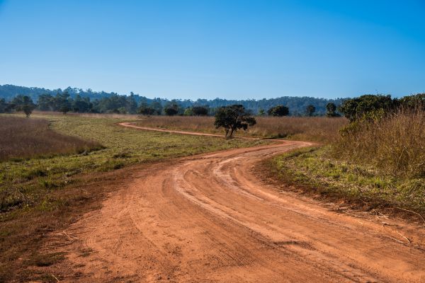 Dirt Driveway Repair in Johnson City