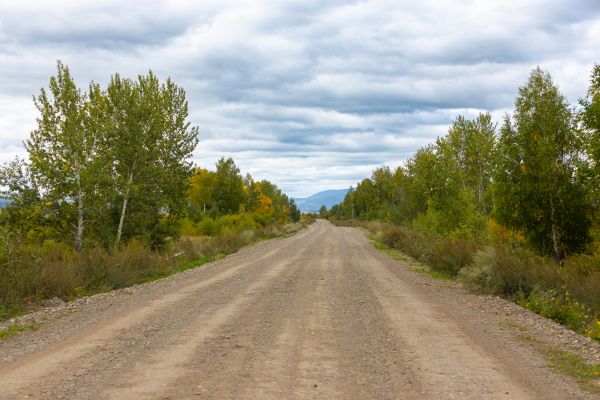 Dirt Road Repair in Johnson City