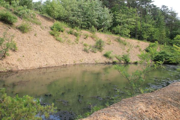 Pond Erosion Repair in Johnson City